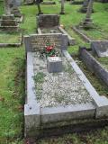 image of grave number 499058